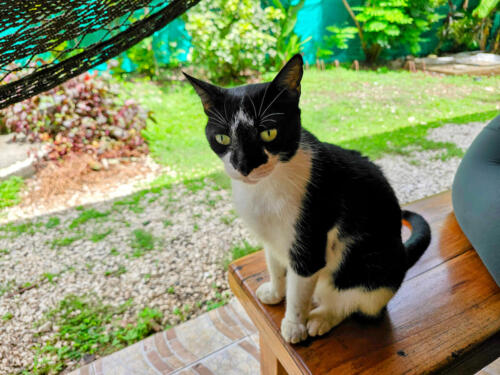 max